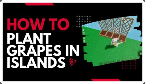How to Plant Grapes in Islands
